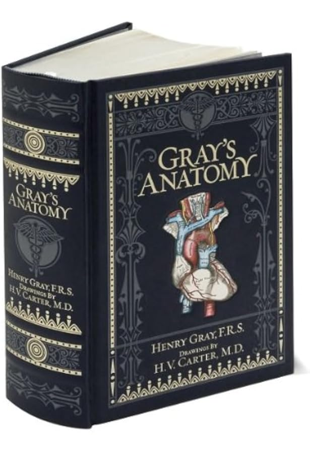 Amazon.com: Henry Gray 的《Gray's Anatomy》全新皮革密封收藏插圖
